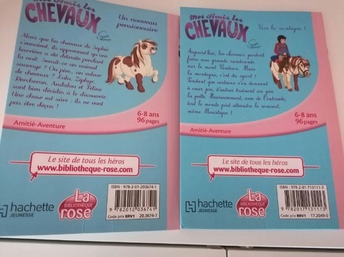 Mes amis les chevaux - photo numéro 2