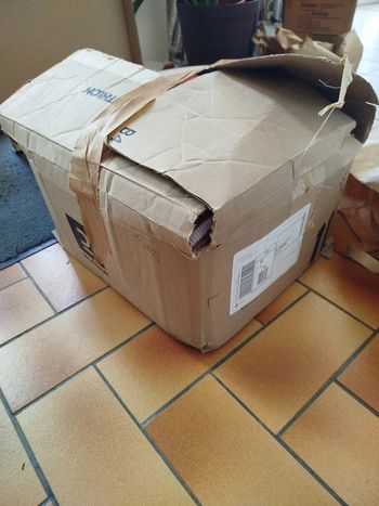 39 articles 6 ans toutes saisons