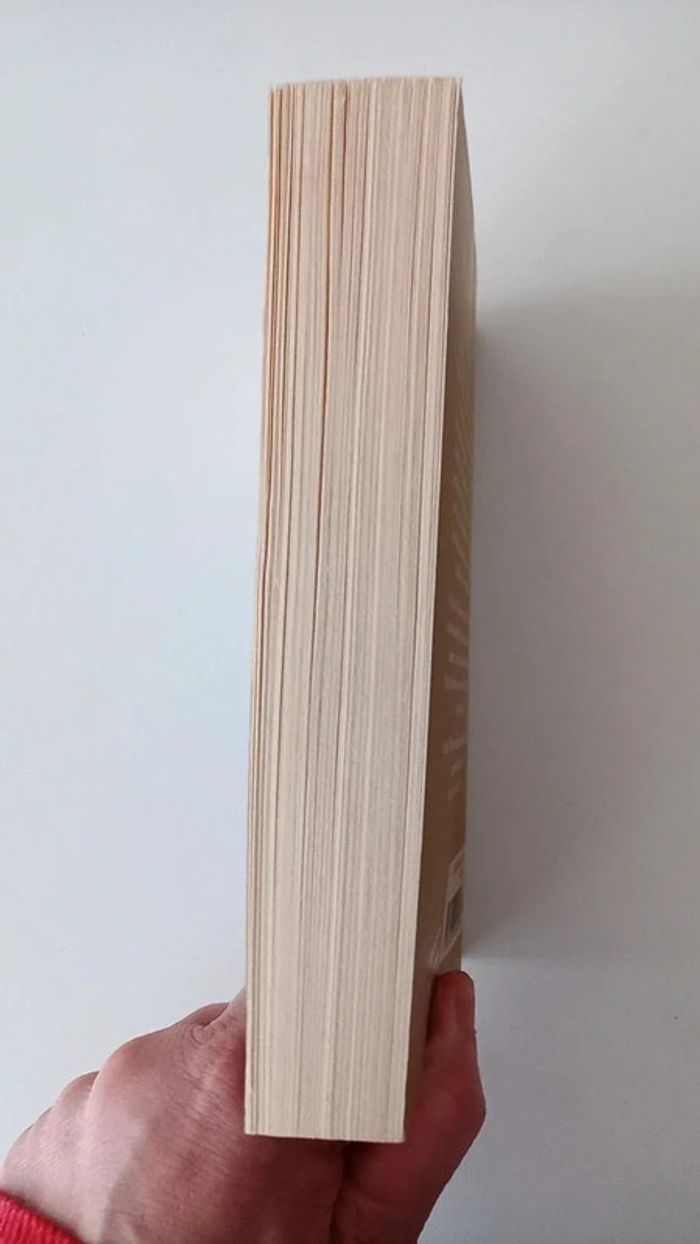 Buch : Wüstenblume Waris Dirie - Livre en allemand - photo numéro 4