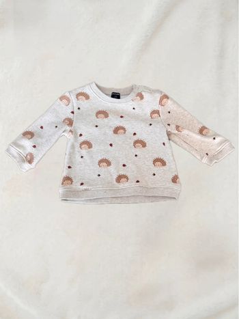 🌸Magnifique pull à motif hérisson taille 6 mois🌸