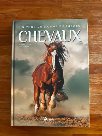 Livre un tour du monde en images chevaux