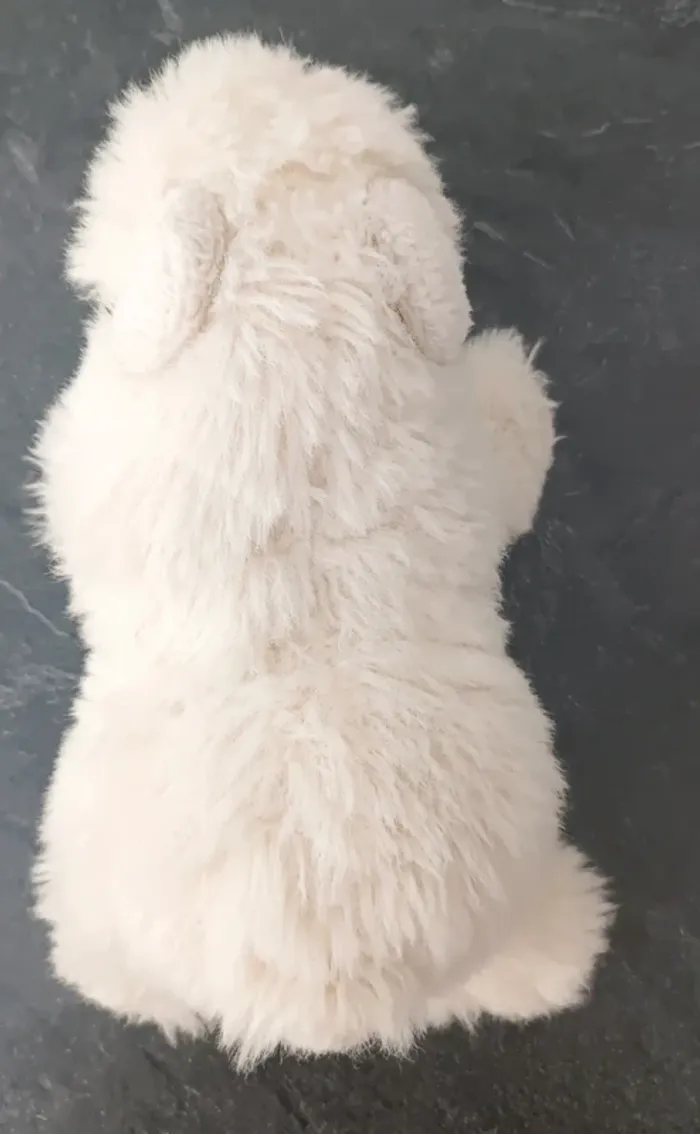 Peluche Ourson blanc - photo numéro 4