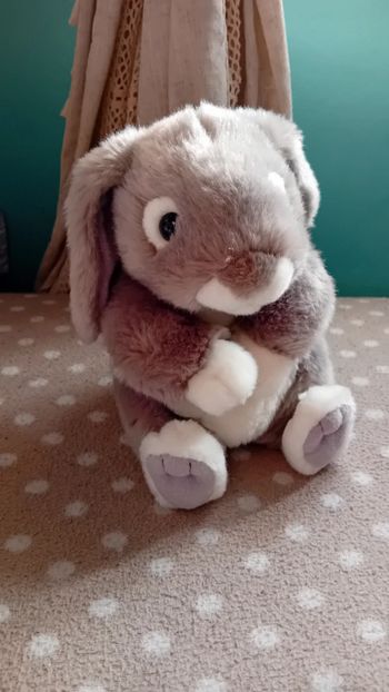 Peluche lapin gris et blanc gipsy