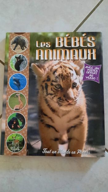 Les bébés animaux