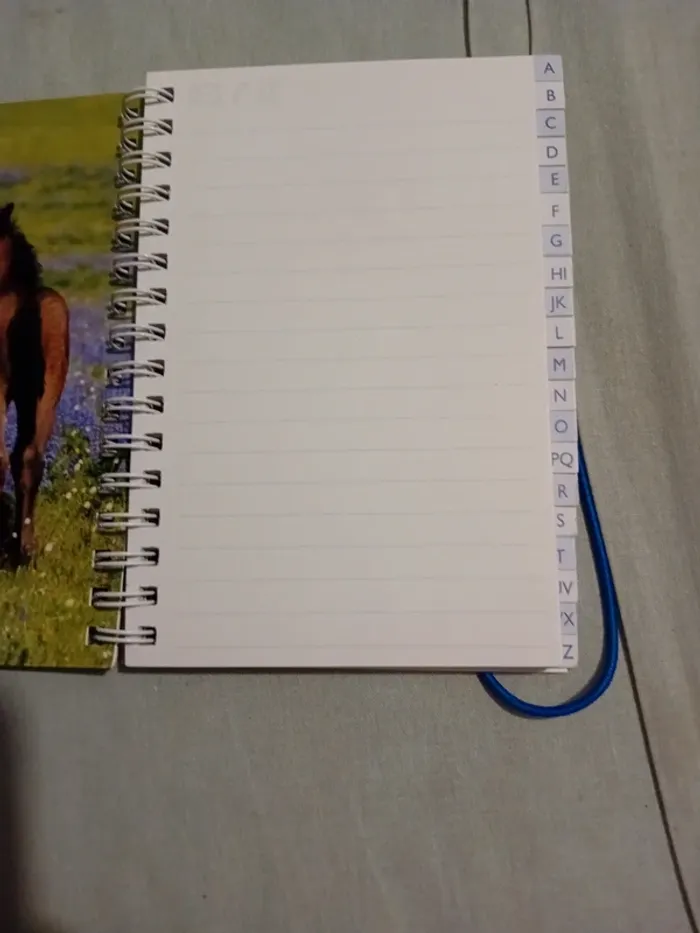 Carnet d'adresse - photo numéro 3