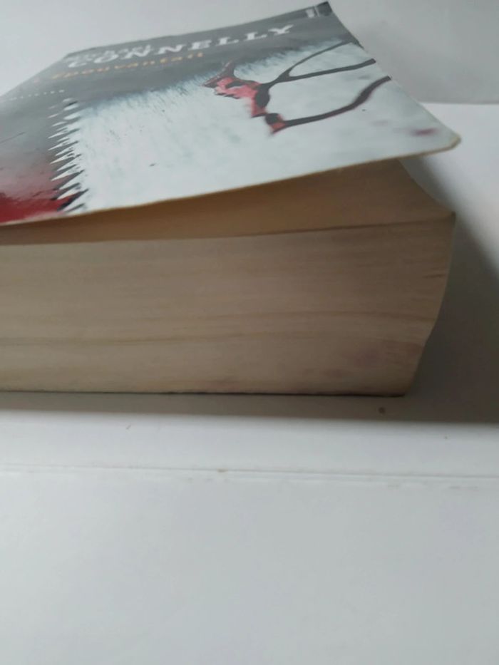 L'épouvantail - photo numéro 4