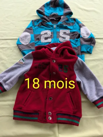 Lot de 2 sweats à capuche 18 mois