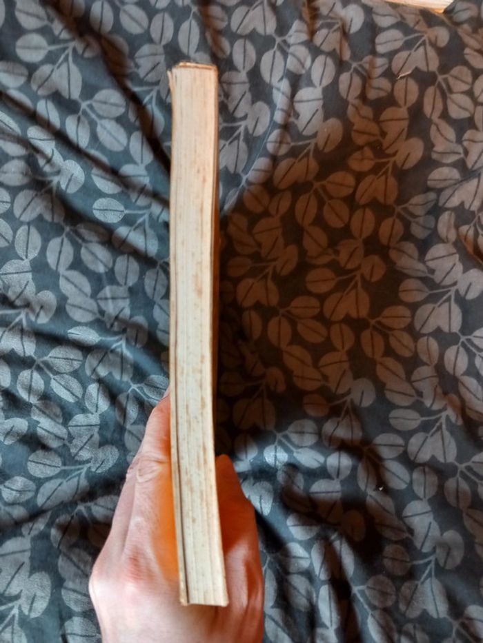 Plaisir de photographier - photo numéro 3