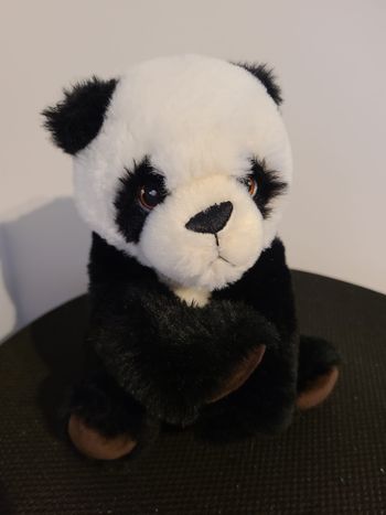 doudou panda