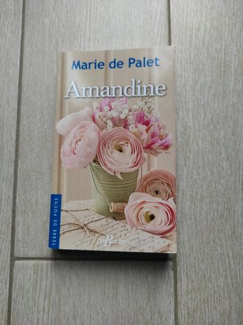 Livre Amandine de Marie de Palet