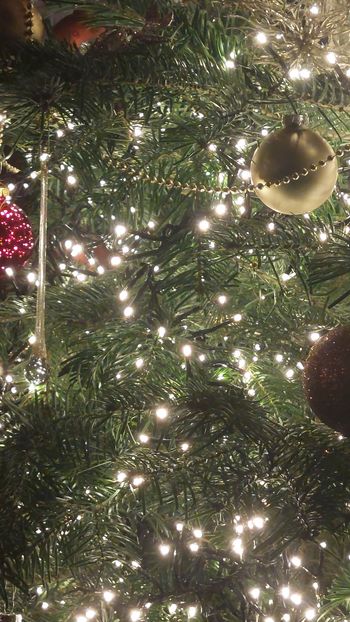 Macron sous le sapin