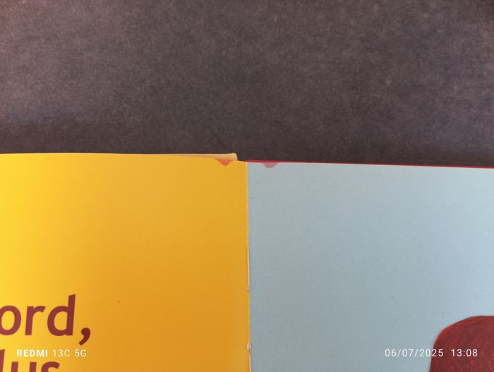 Comme un grand - photo numéro 3