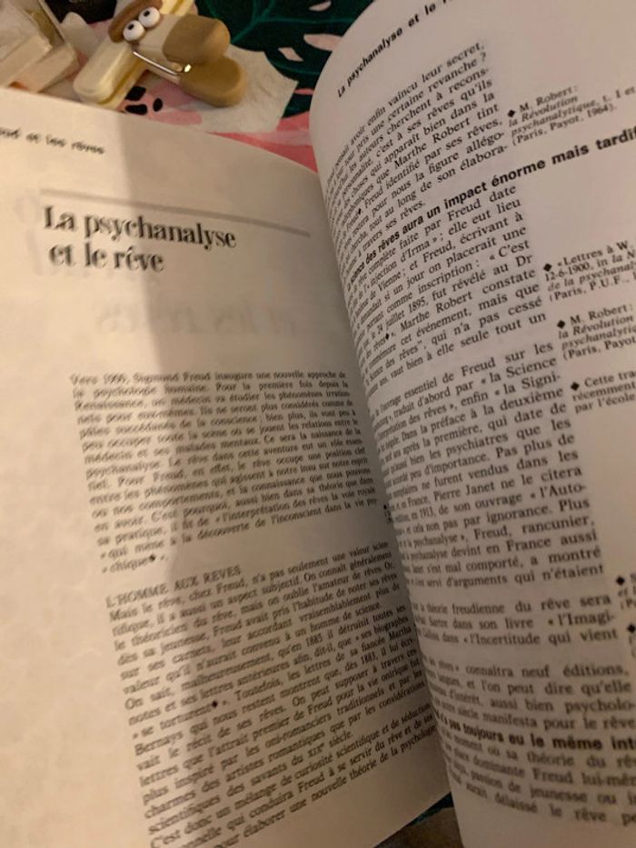 Le sommeil et les rêves - photo numéro 11