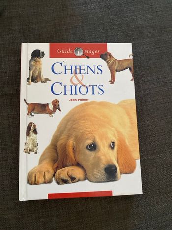 Chiots et chiens