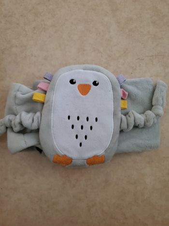 Bouillotte anti coliques