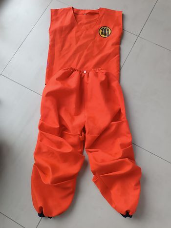 Déguisement dragon ball z