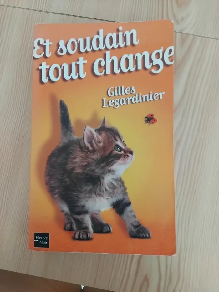 Livre "Et soudain tout change " 🔄 - photo numéro 2