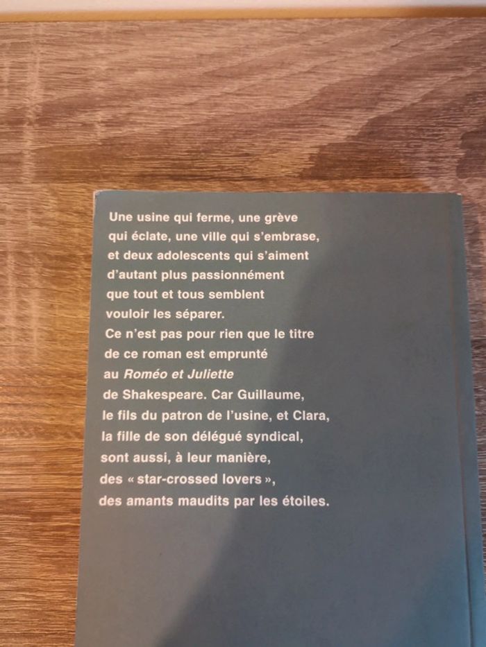 Livre romance Star-crossed Lovers de Mikael Ollivier - photo numéro 2