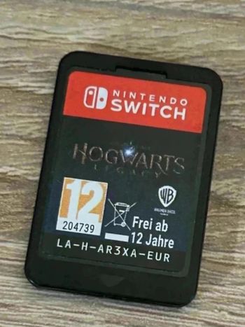 Hogwarts legacy jeu Nintendo switch