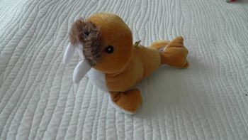 Peluche Morse