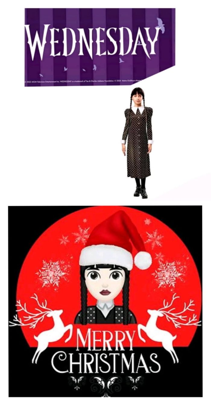 Déguisement famille Addams mercredi 9/10 ans - photo numéro 2