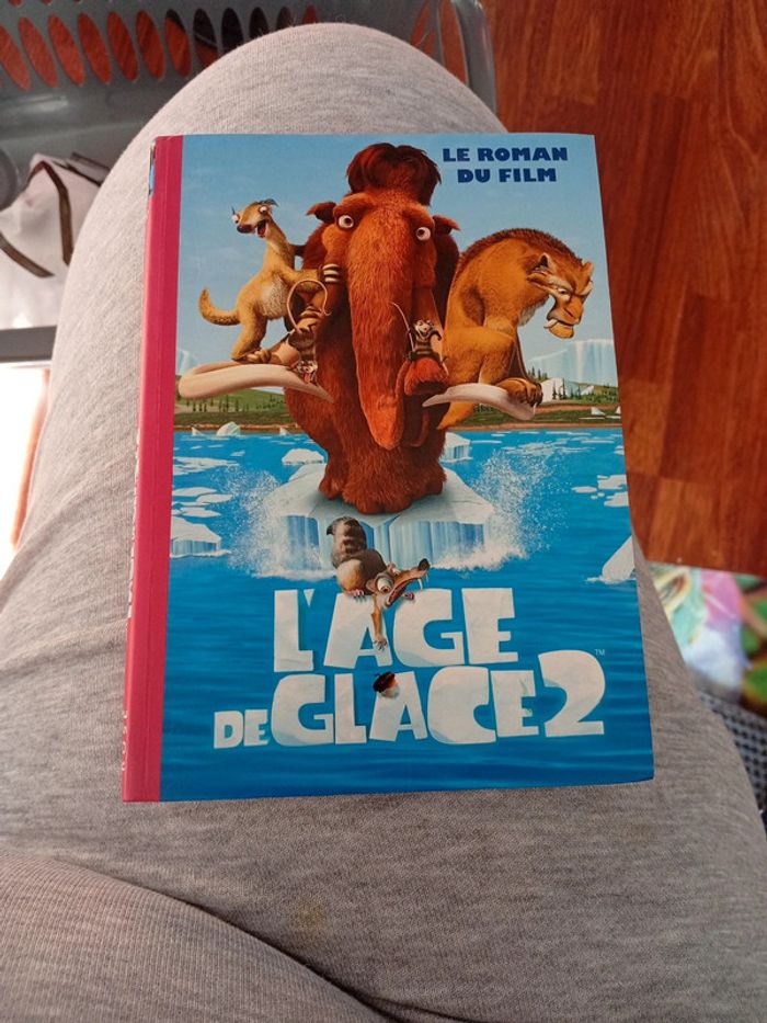 Lot de 4 livres jeunesse 8 ans - photo numéro 2