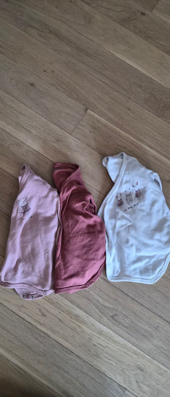 Lot de 3 bodies Vertbaudet 74cms - photo numéro 2