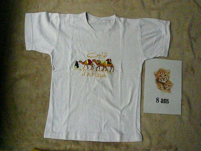 Lot de 3 tee-shirts 8 ans (n°41) - photo numéro 2