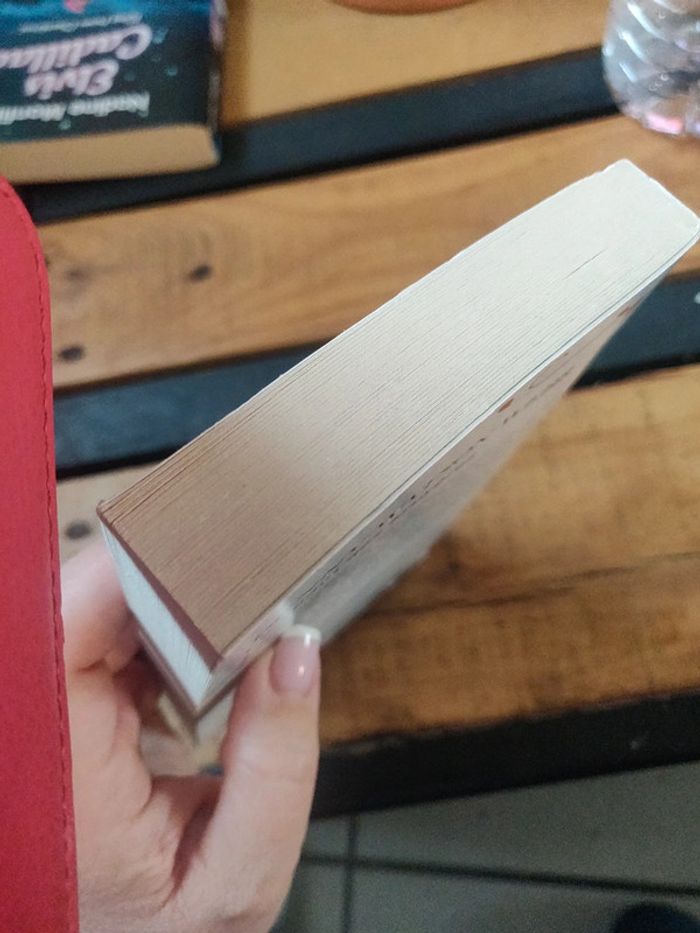 Le chant des bruyères - photo numéro 6