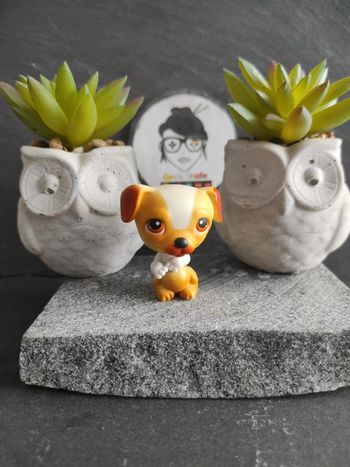 my Littlest Petshop LPS chien dog Jack Russel 40 hasbro #geektradelpschien