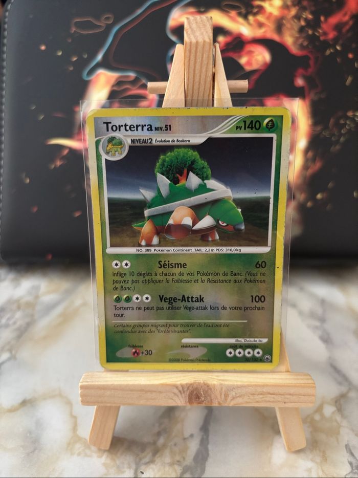 Torterra 30/100