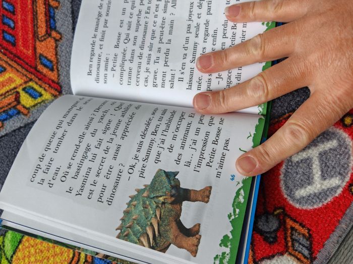 Livre Jurassique Word - photo numéro 3