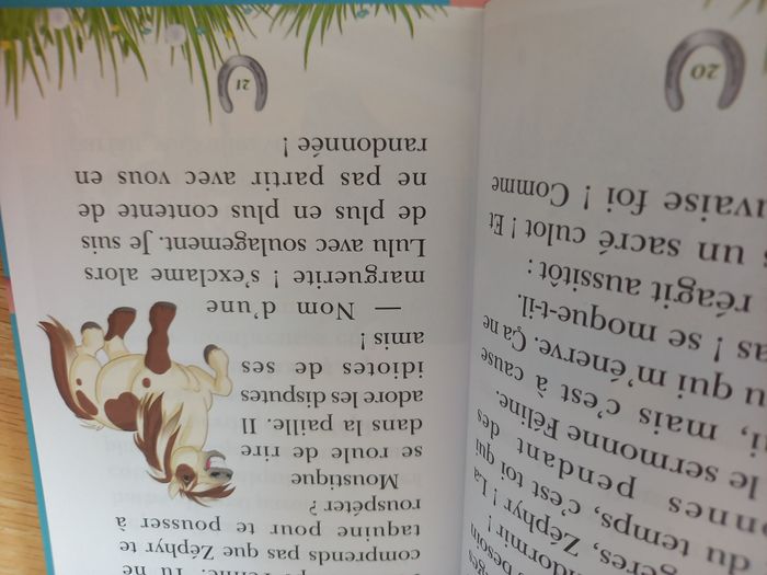 Lot 2 livres Mes Amis les chevaux dès 6 ans - Très bon état - photo numéro 8