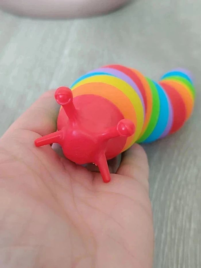 Limace articulée arc-en-ciel - photo numéro 5