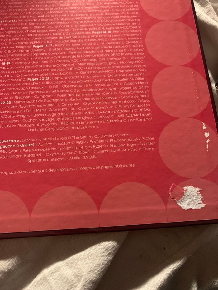 Livre - photo numéro 4