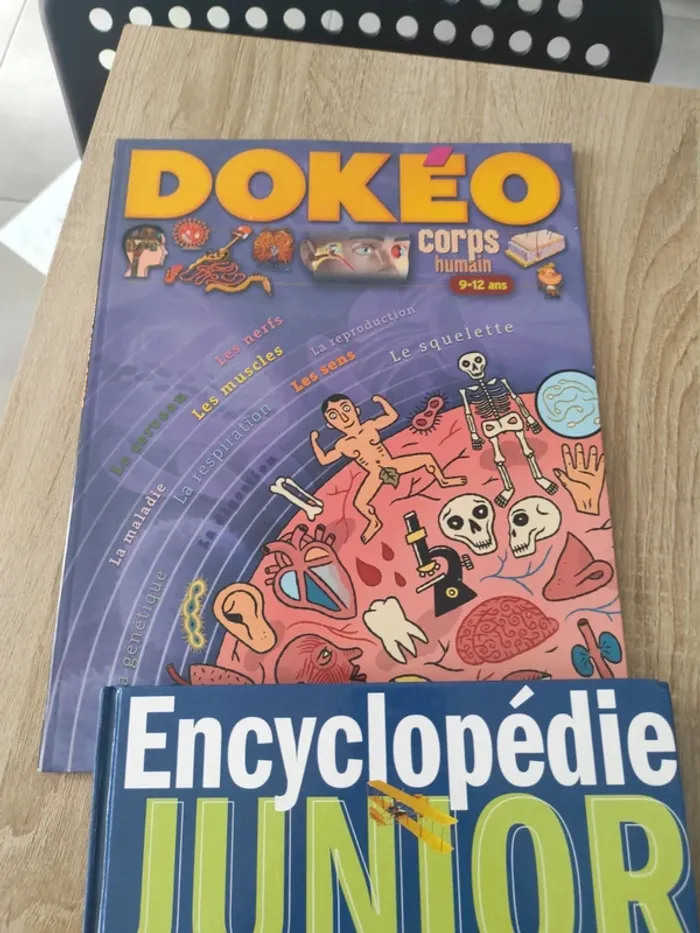 Encyclopédie junior livre découverte - photo numéro 3