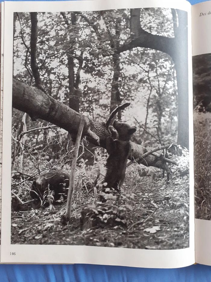 La chasse silencieuse Jaroslav Holecek - photo numéro 3