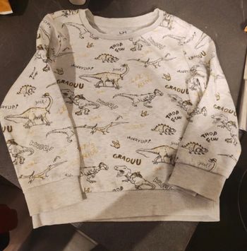 Pull garçon 5 ans dinosaure 