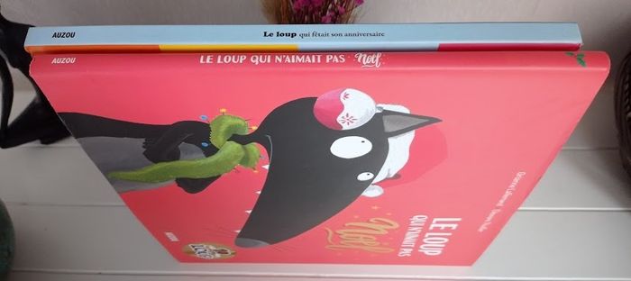 Lot de 2 livres Le Loup - photo numéro 6