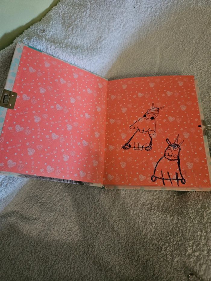 Mon carnet secret - photo numéro 4