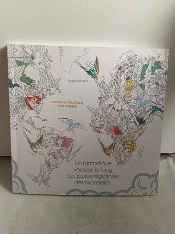 Livre de dessin a colorier