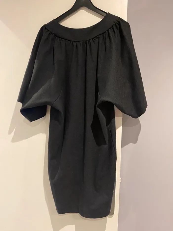 Robe Cos - photo numéro 2