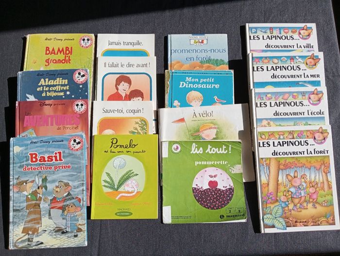 Lot de 16 livres illustrés pour enfants