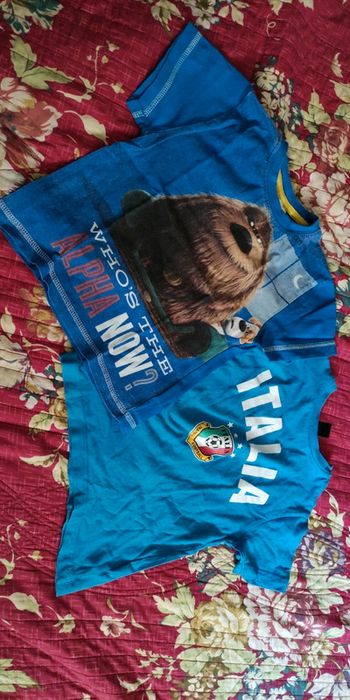 Lot 2 tee shirts 3 ans