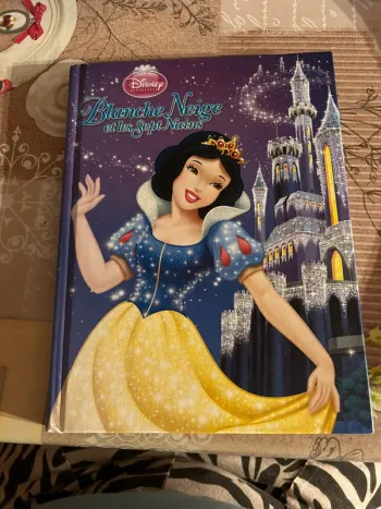Livre Disney princesse