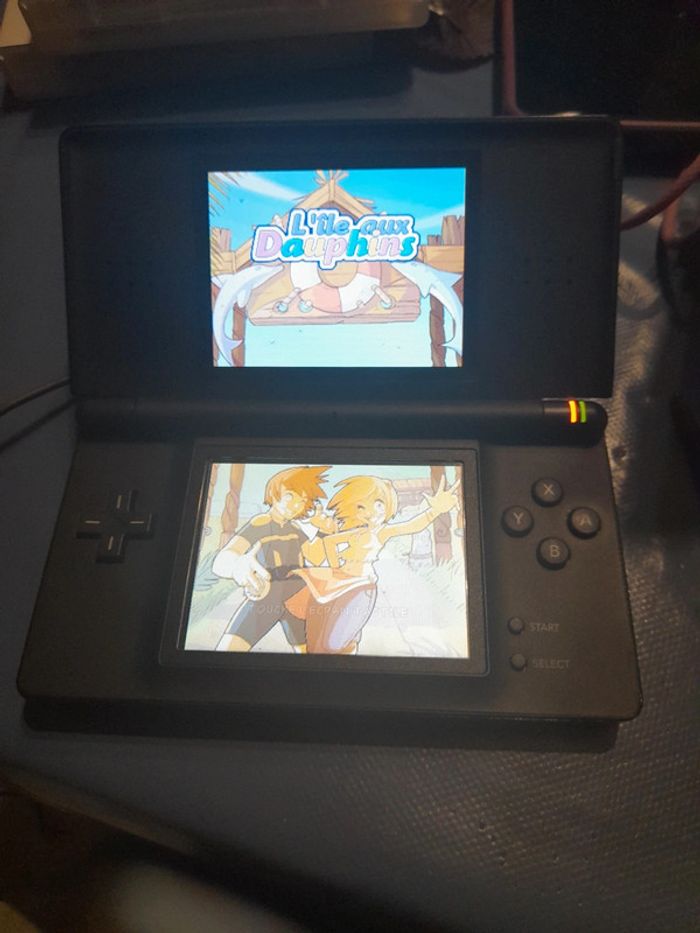L'île aux dauphins Nintendo DS - photo numéro 10