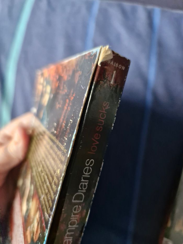 Saga Vampire Diaries Intégrale 2 saisons - photo numéro 10