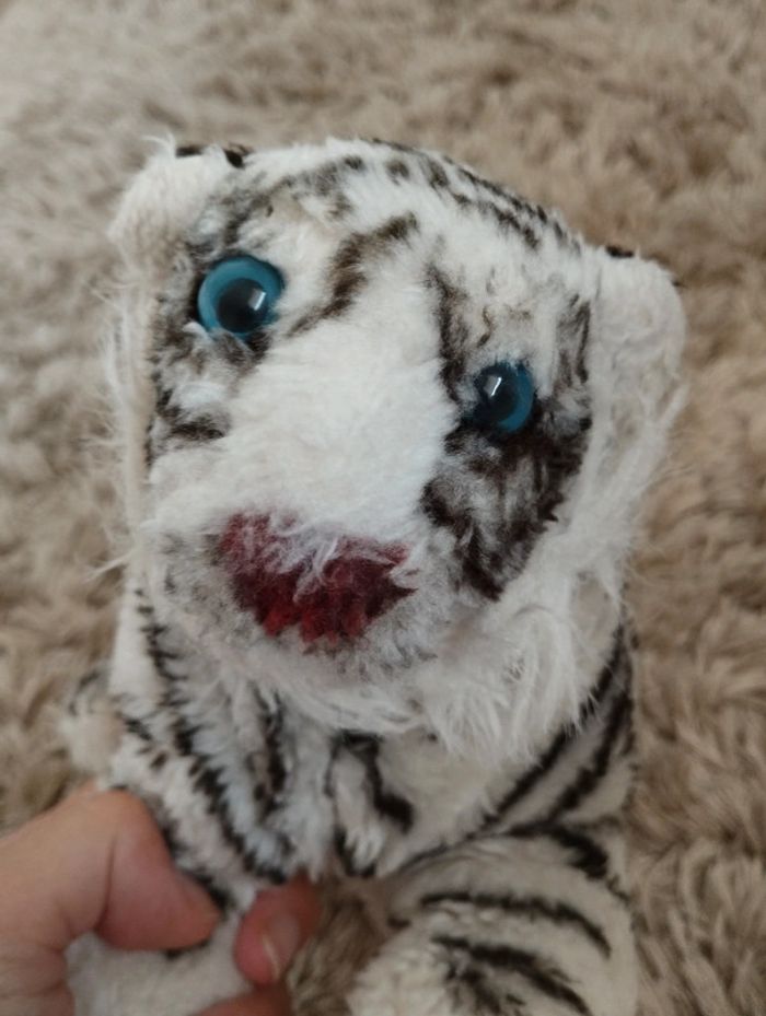 Tigre blanc - photo numéro 5