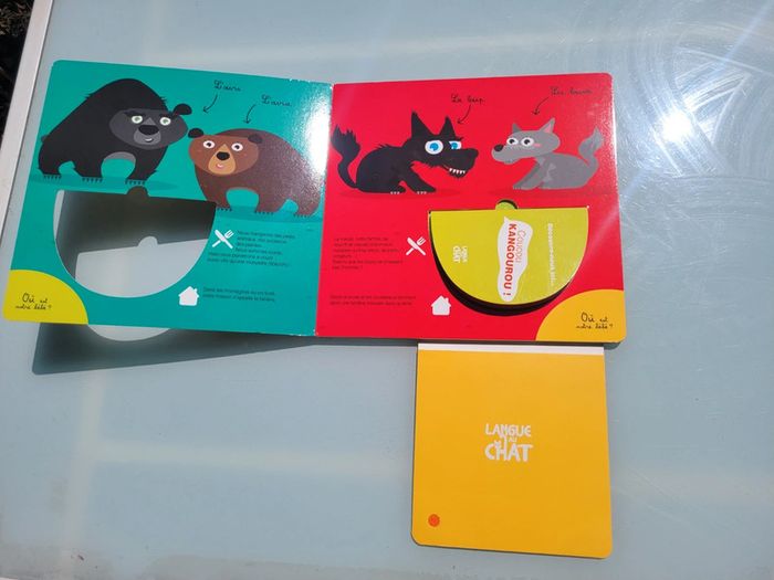 Livre surprise grand format 🦘 Coucou Kangourou ! 🦘 éditions langue de chat - photo numéro 5