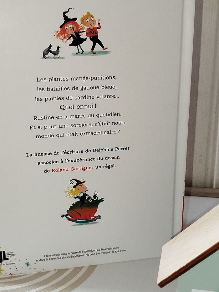 📚 Albin Jeunesse Rustine Sorcière ordinaire Neuf - photo numéro 4